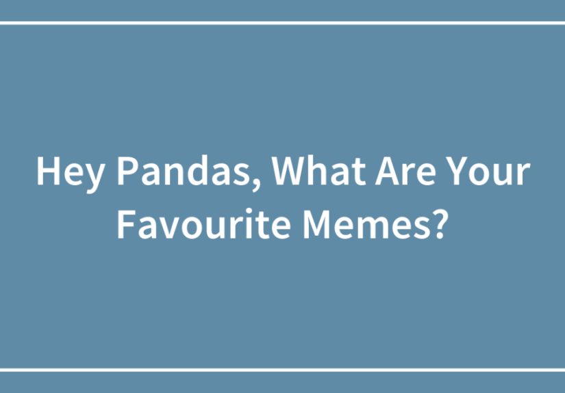 Hey Pandas, What Are Your Favourite Memes?