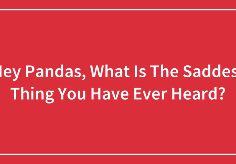Hey Pandas, What Is The Saddest Thing You Have Ever Heard? (Closed)