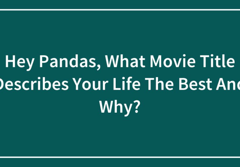 Hey Pandas, What Movie Title Describes Your Life The Best And Why? (Closed)