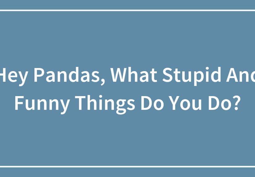 Hey Pandas, What Stupid And Funny Things Do You Do? (Closed)
