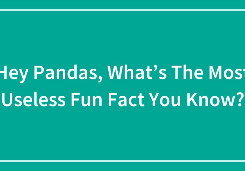 Hey Pandas, What&rsquo;s The Most Useless Fun Fact You Know? (Closed)