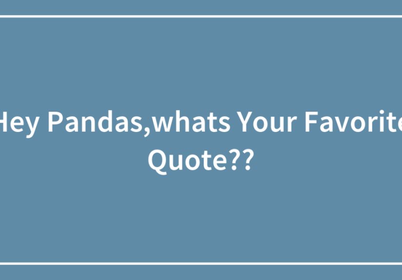 Hey Pandas,whats Your Favorite Quote??