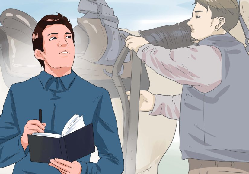 How to Approach Your Horse