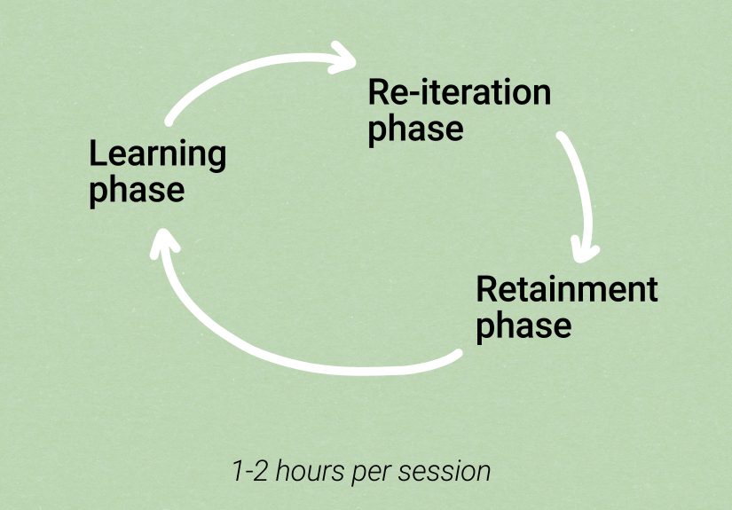 How to Enhance Your Learning Ability: An 11-Step Guide