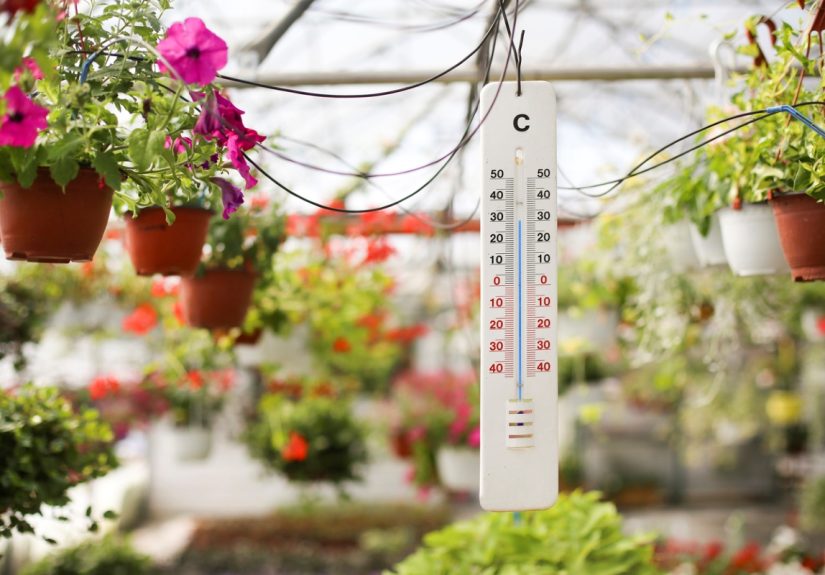 How to Heat a Greenhouse: 8 Ways to Garden in the Cold