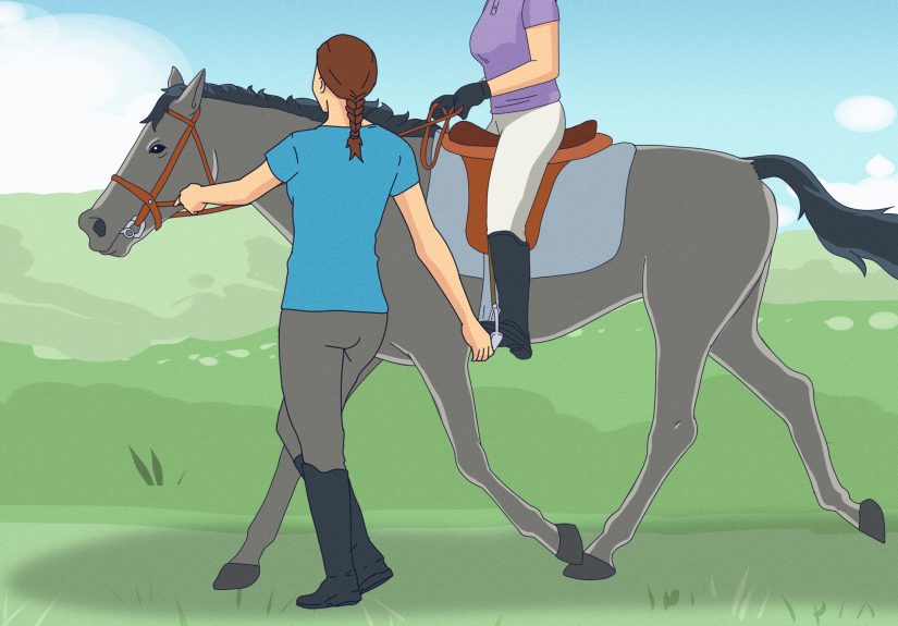 How to Make a Horse Run Faster: 8 Steps