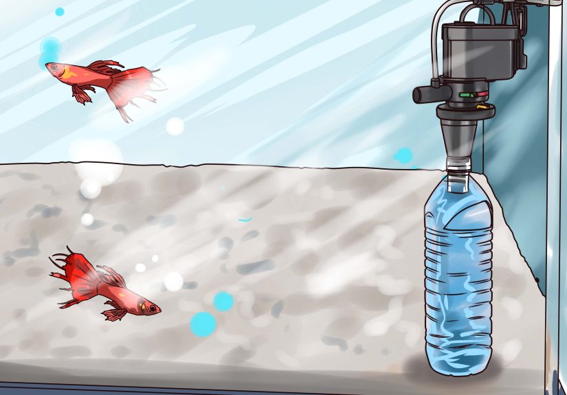 How to Make Your Own Underwater Aquarium Filter