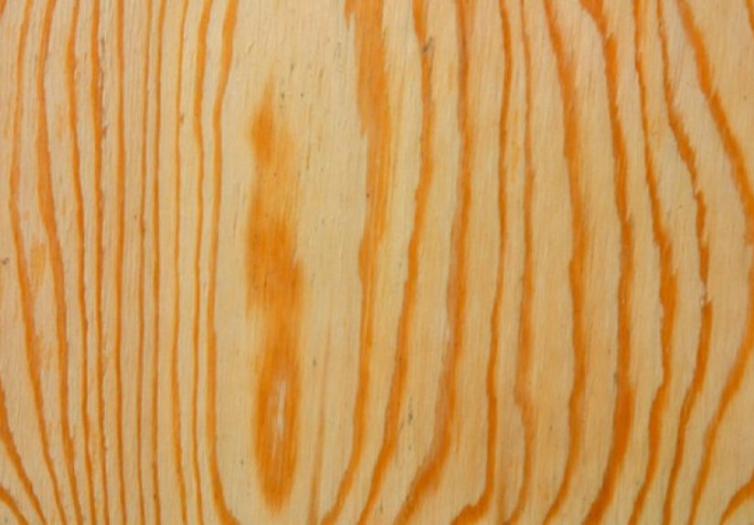 How to Stain Birch Plywood