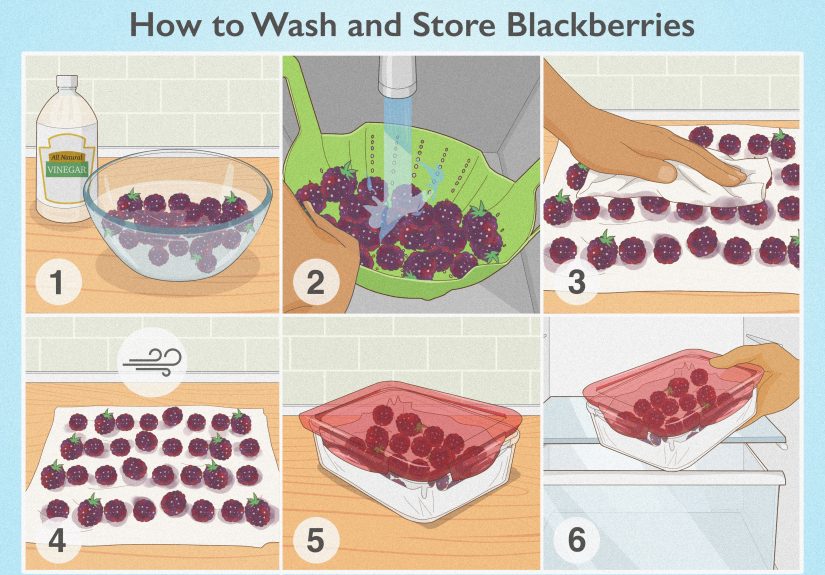 How to Store Blackberries After Washing to Prevent Mold