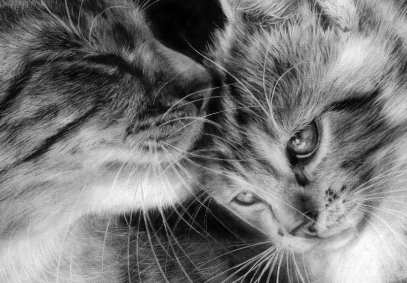 I Paint Animal Portraits Using A Rare Technique, Oil On Paper