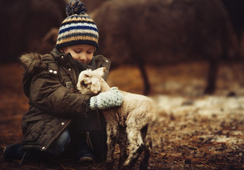 I Photographed Foster Children Every Month Through One Year To Show Importance Of Family And Home