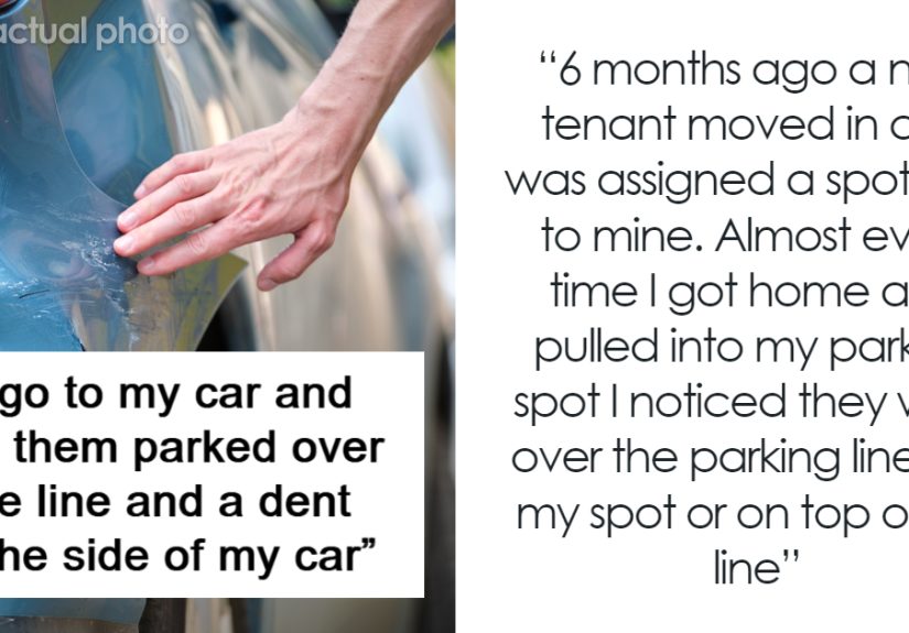 Person Gets Revenge On Neighbor, Makes Sure They Never Park Outside The Lines Again