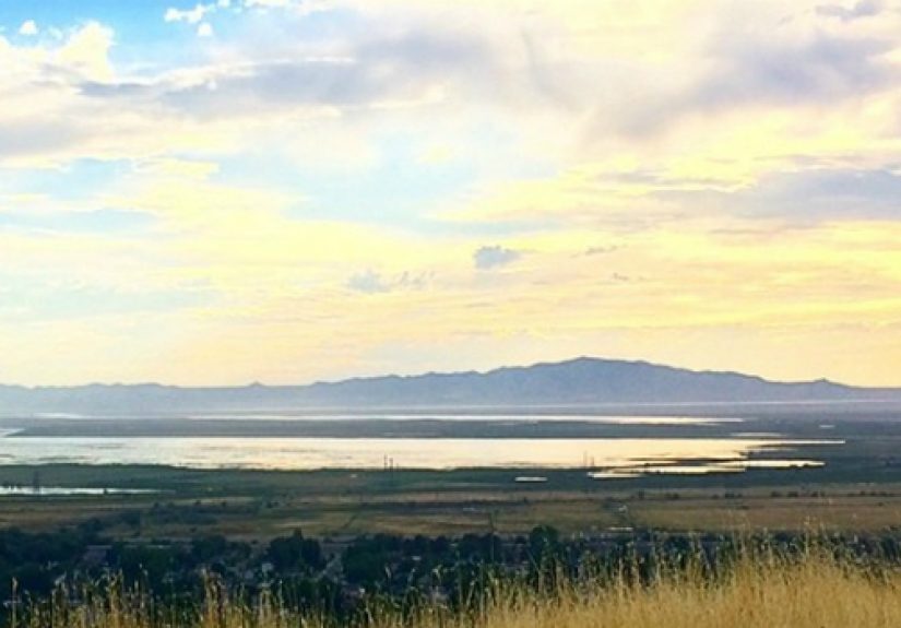 Remodelaholic in Review: July 2014