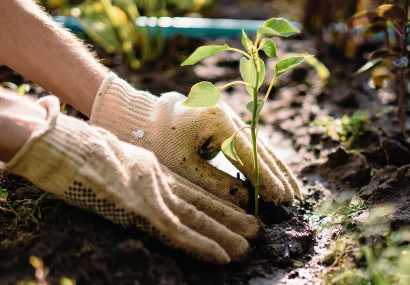 Staying Active With Ankylosing Spondylitis