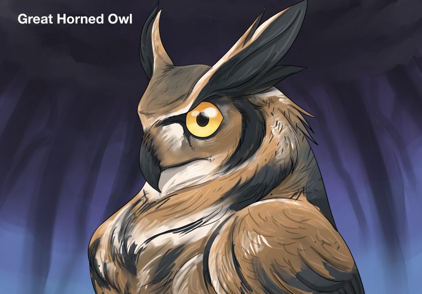 What Do Owls Symbolize? Plus, What it Means When You See One