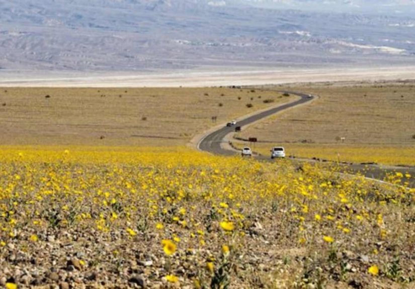 11 Things You Didn't Know About Death Valley