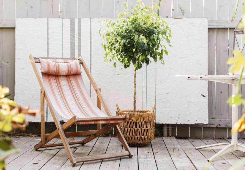13 Best Trees for Patios