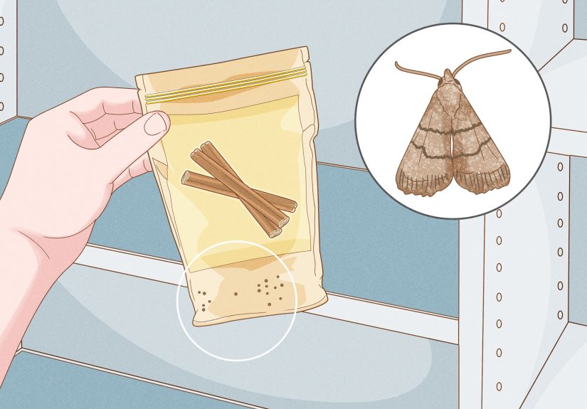 3 Ways to Get Rid of Pantry Moths