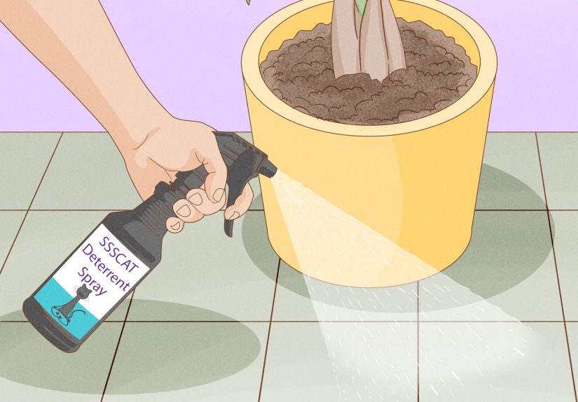 3 Ways to Prevent Cats from Digging Up Houseplants