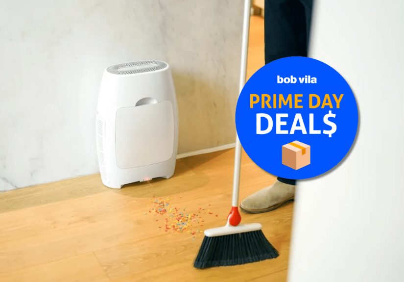 $60 Off of an Air Purifier-Vacuum Combo Is the Prime Day Deal for Pet Owners