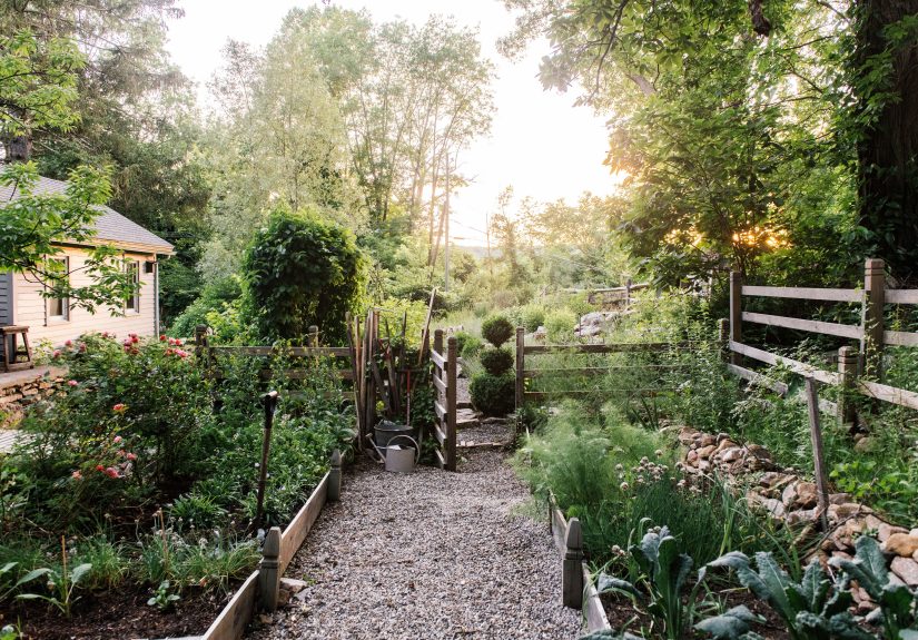 9 Clever Ways to Use Cardboard in Your Garden