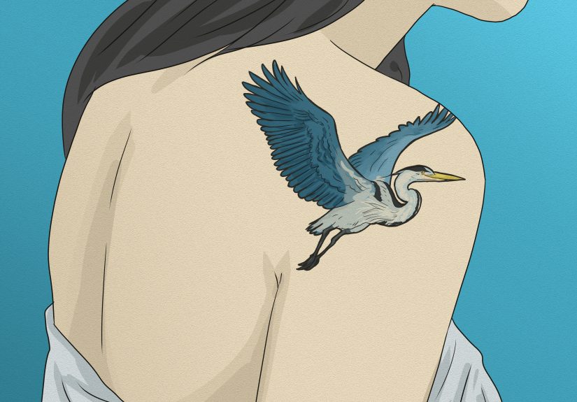 Blue Heron Spiritual Meanings: Symbolism, Dreams & More