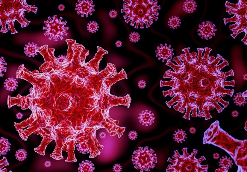 Coronavirus History: How Did Coronavirus Start?