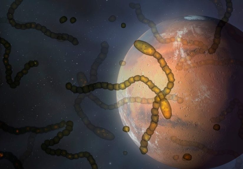 Did We Accidentally Kill Alien Life 50 Years Ago?