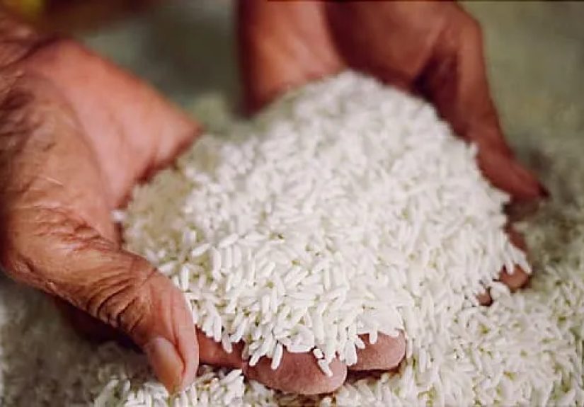 Different Types of Rice and Best Ways to Enjoy Them