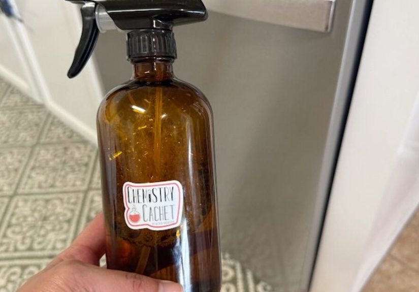 DIY Mold Spray For Dishwasher (And For Overall Cleaning)