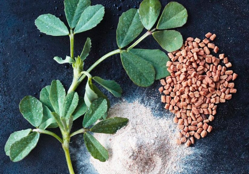 Does Fenugreek Work for Weight Loss?