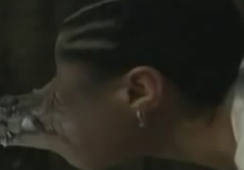 Hey Pandas, Find A Cursed Animorphs Image And Post It Here