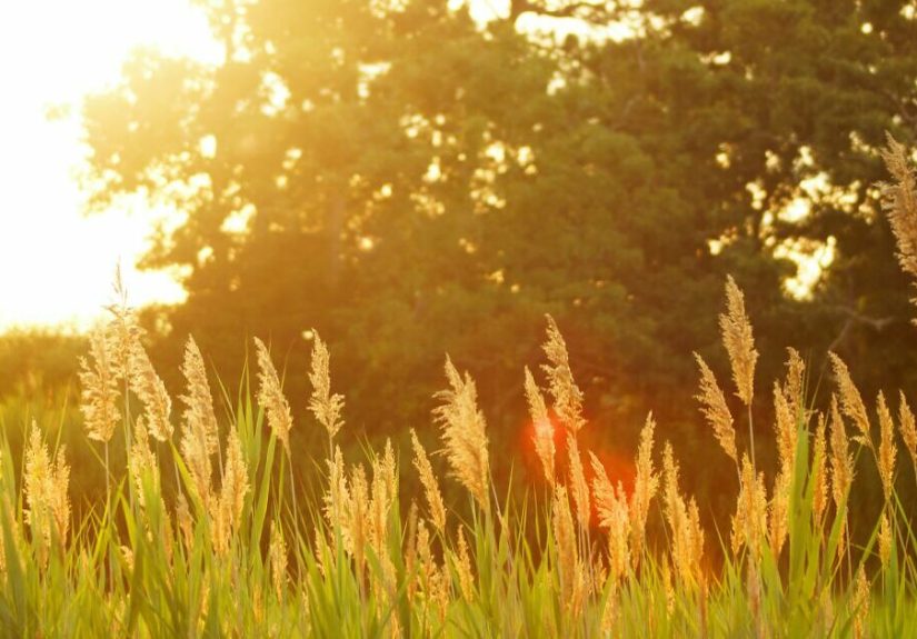 Hey Pandas, Post Your Favorite Picture From Vacation (Closed)