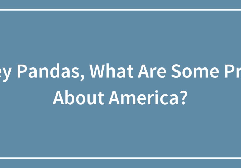 Hey Pandas, What Are Some Pros About America?