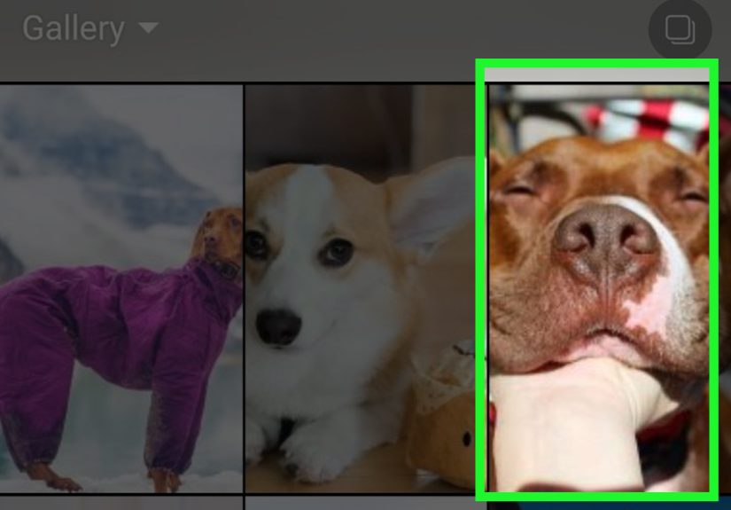 How to Add Multiple Stories on Instagram: 15 Steps