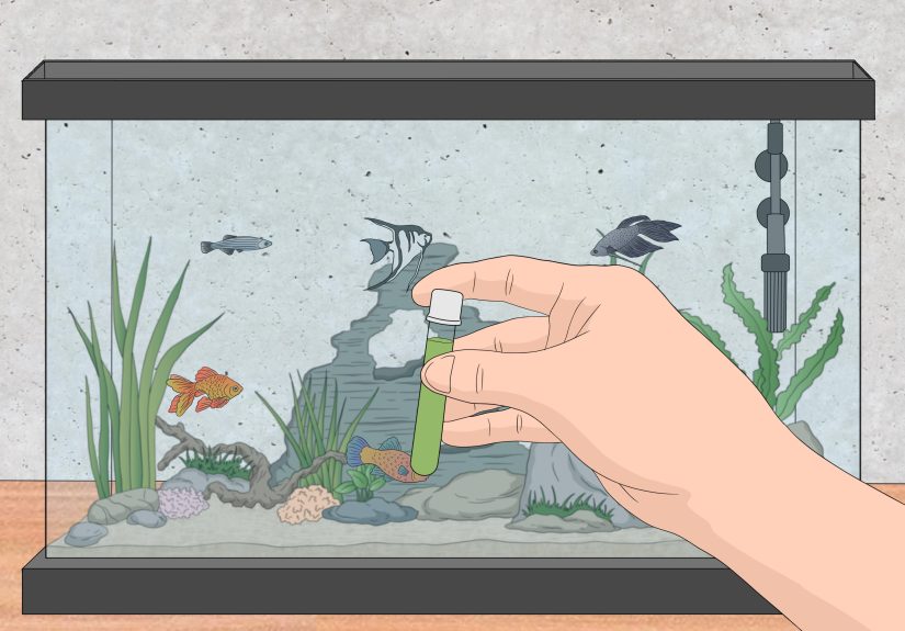 How to Lower Ammonia Levels in a Fish Tank if They Are Not Very High