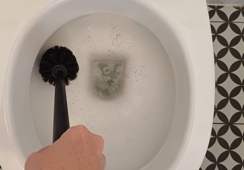 How To Make Your Own DIY Toilet Bowl Cleaner