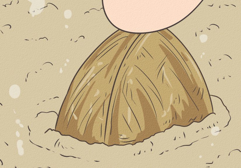 How to Take Care of a Live Clam: 13 Steps