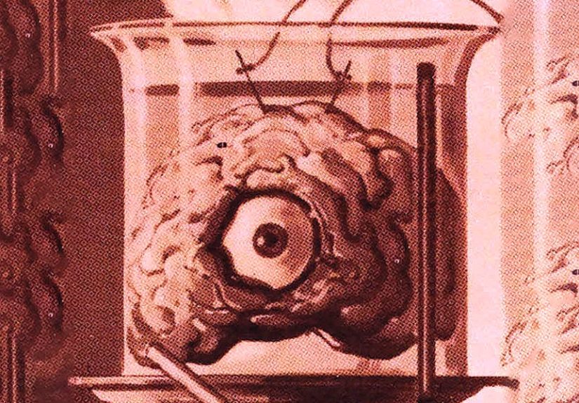 Human Brain Organoids: Could Lab-Grown Brains Become Sentient?