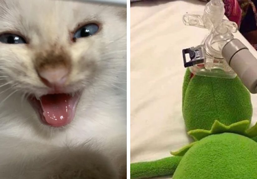 Readers’ Vote: 69 Dirty Jokes For Adults, You Decide What’s Too Much