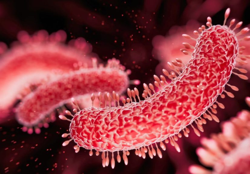 Scientists Discovered How to Wipe Out the World’s Deadliest Infectious Disease