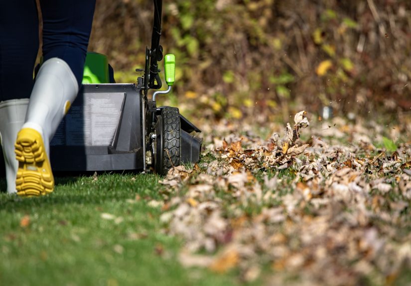 Should You Mow Your Lawn Longer or Shorter in the Fall?