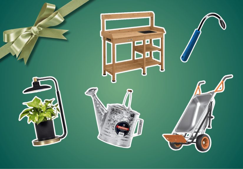 The Best Gifts for Gardeners and Plant Lovers of 2025