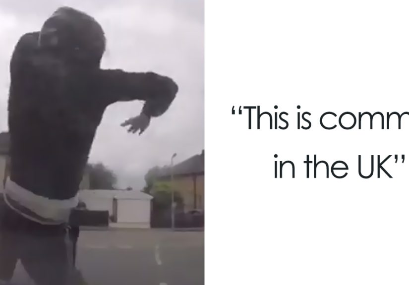 This Scammer Jumped In Front Of A Moving Car And Made The Biggest Mistake Ever