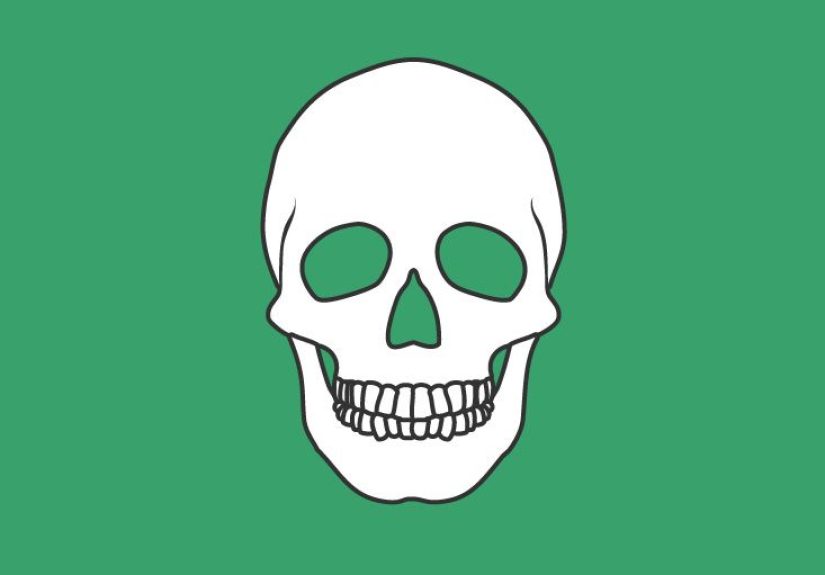 Thoracic Spine Diagram & Function