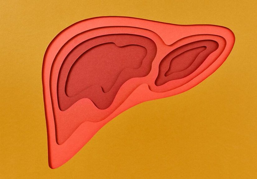 What Are the Signs Your Liver Is Healing?