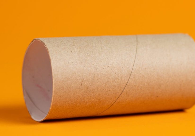 What to Do When You Run Out of Toilet Paper - What Can You Flush?