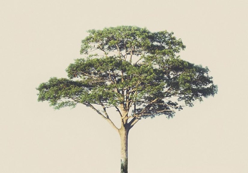 Why Are More Young People Buying LTC and Life Insurance? - IA Magazine