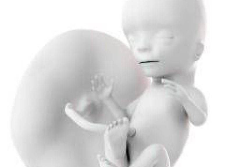 15 Weeks Pregnant: Symptoms, Baby Development, and Things to Do