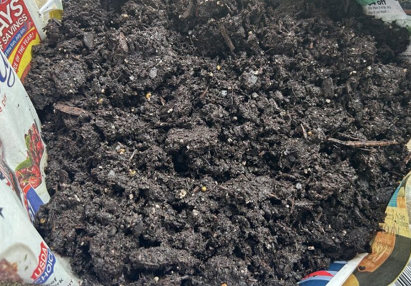 5 Old School Gardening Hacks That Still Work Today